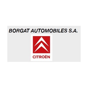 45 Citroen Borgat